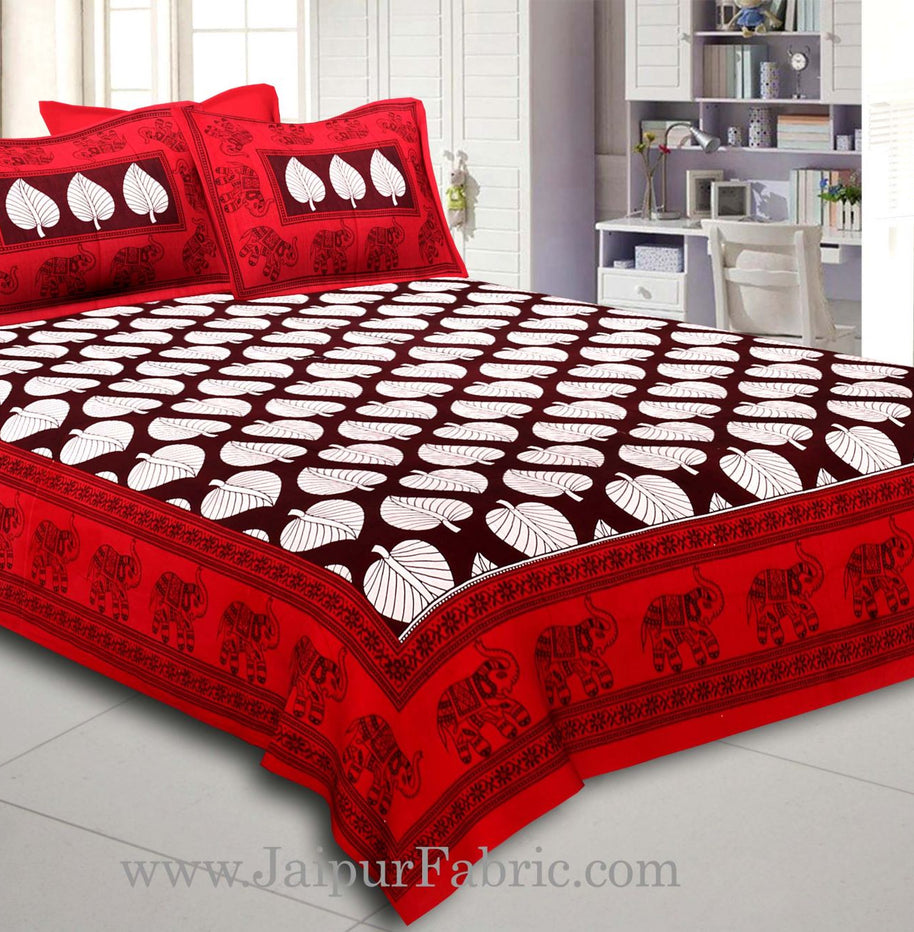 Maroon Border With  Coffee Base Paan Pattern Cotton Double Bed Sheet