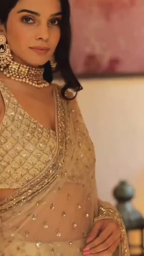 Beige Sequins Embellished Net Saree